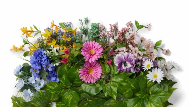 FY23_FW05_3.3-DM_0523-32050_P7B3-After