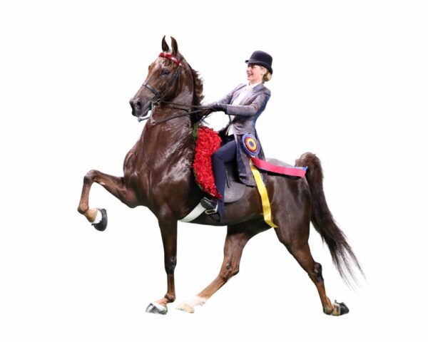 E:WebsitePhoto maskingAfter