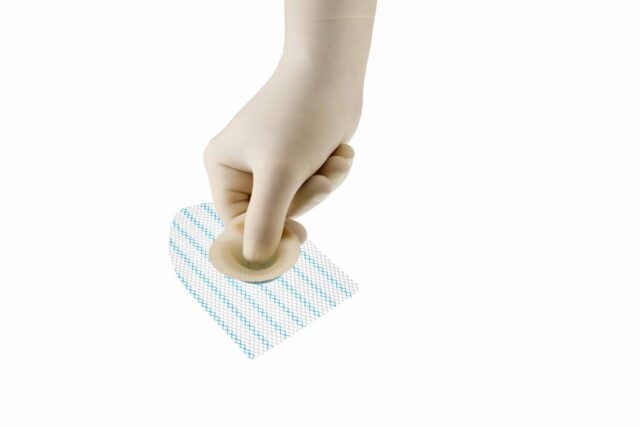 E:WebsitePhoto maskingAfter