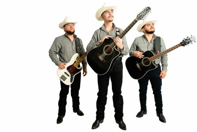 Professional Background Removal & Transparent Cut-Out