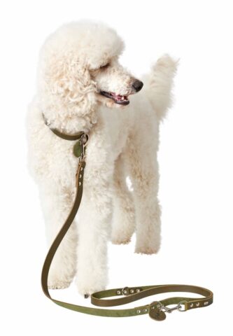 E:WebsitePhoto maskingAfter