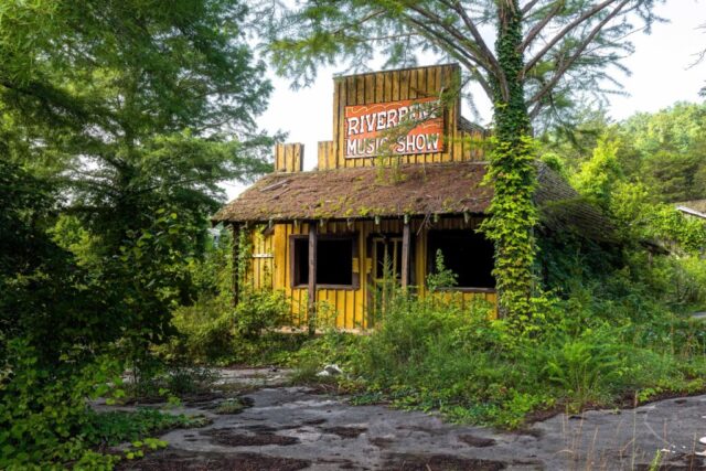 Professional Color Correction, Recolor & Photo Enhancement