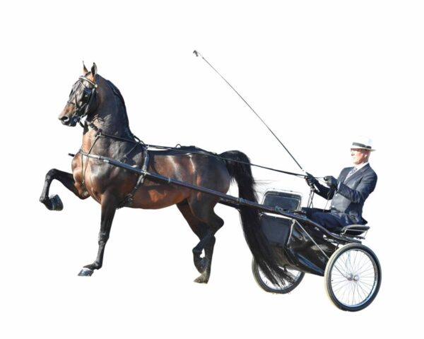 E:WebsitePhoto maskingAfter