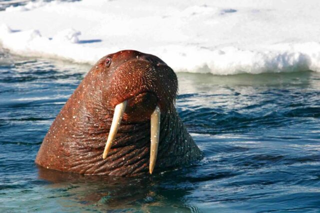 E:WebsitedonePhoto retouchAfter(Web Version)